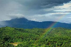 photo of Balphakram National Park